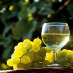 Vinho Alvarinho: O Ouro Líquido do Minho e da Galiza