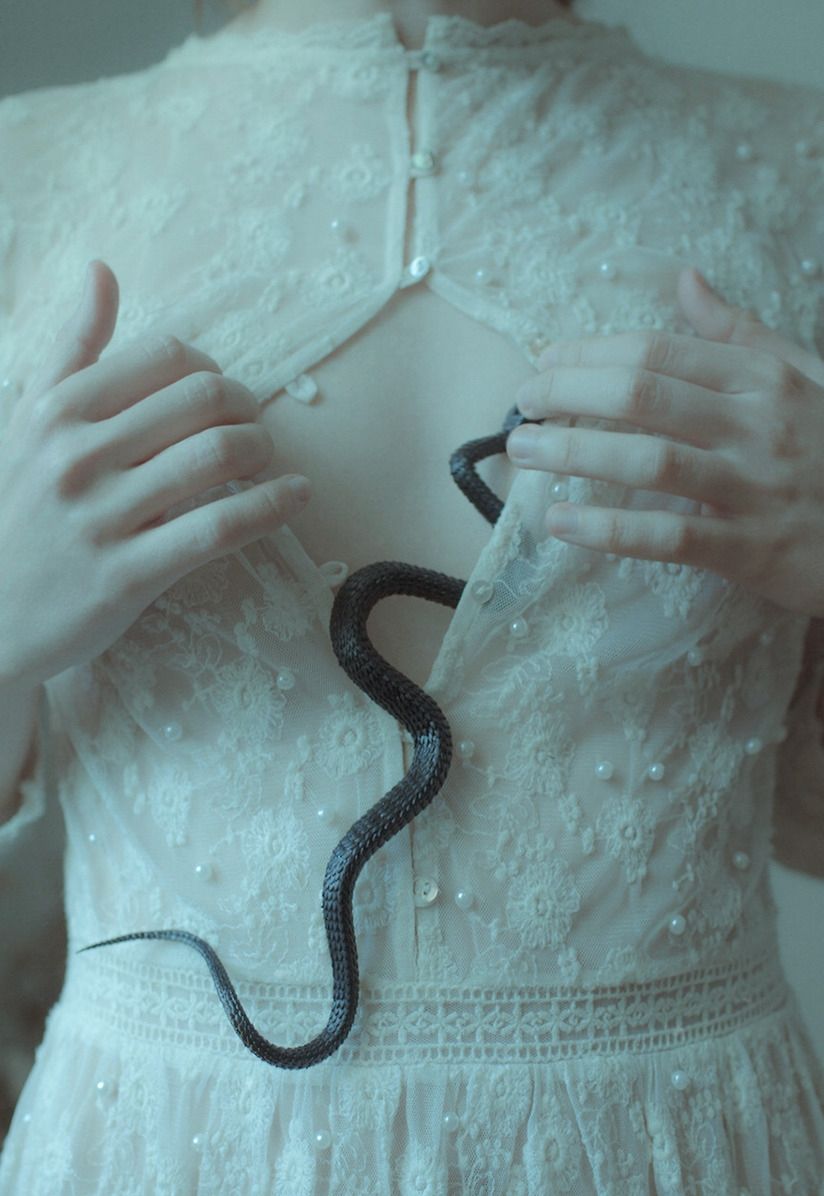 Land Of Serpents