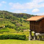 Vila Verde: ao Ritmo da Terra