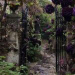 The Gothic Garden — An Aesthetic of Botanical Melancholy