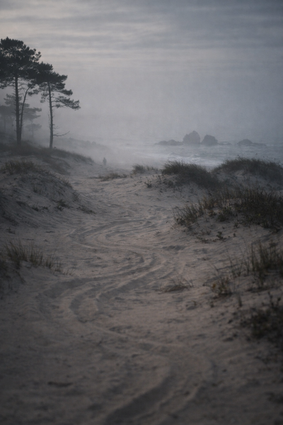 Dunas serpenteantes de Ofir ao amanhecer