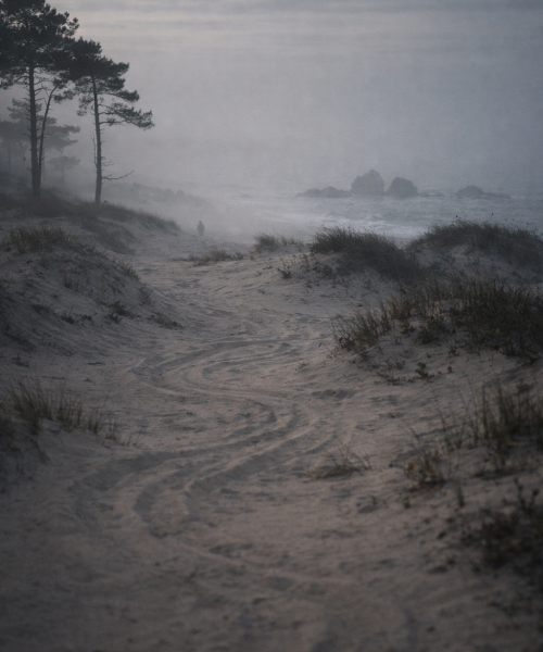 Dunas serpenteantes de Ofir ao amanhecer